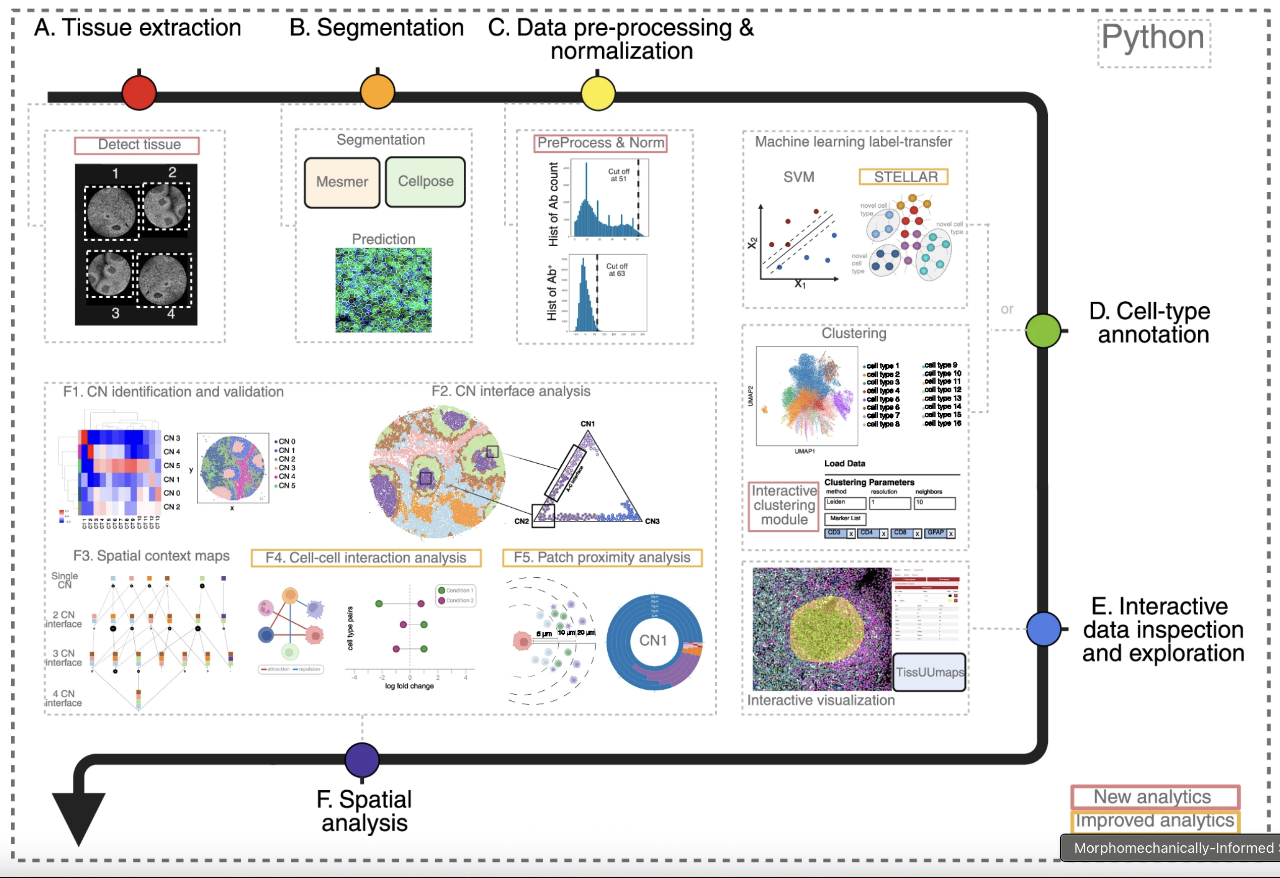 SPACEc workflow schematic